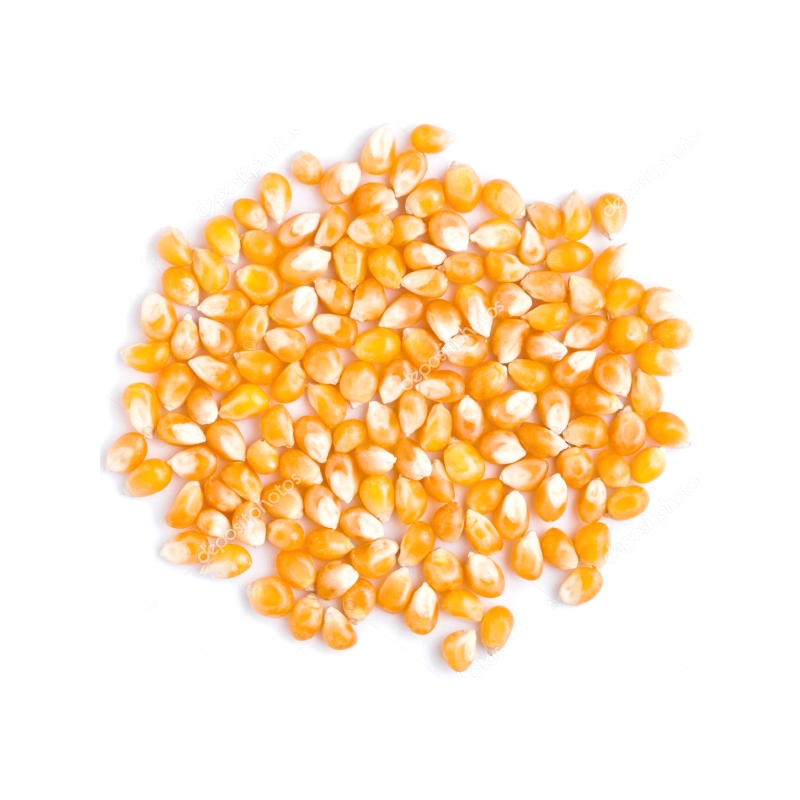 El Plebeyo Maiz canguil 500g