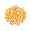 El Plebeyo Maiz canguil 500g